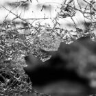 Cristal roto laminas de seguridad